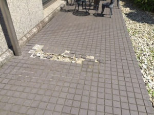 %ef%be%80%ef%bd%b2%ef%be%99110