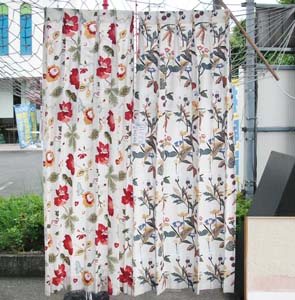 今日のカーテン