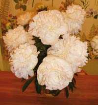 フレンチボックス