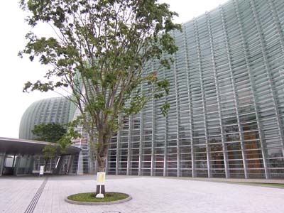 新国立美術館