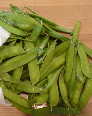 いんげん