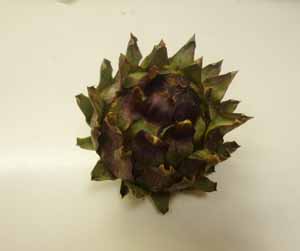 アーティチョーク